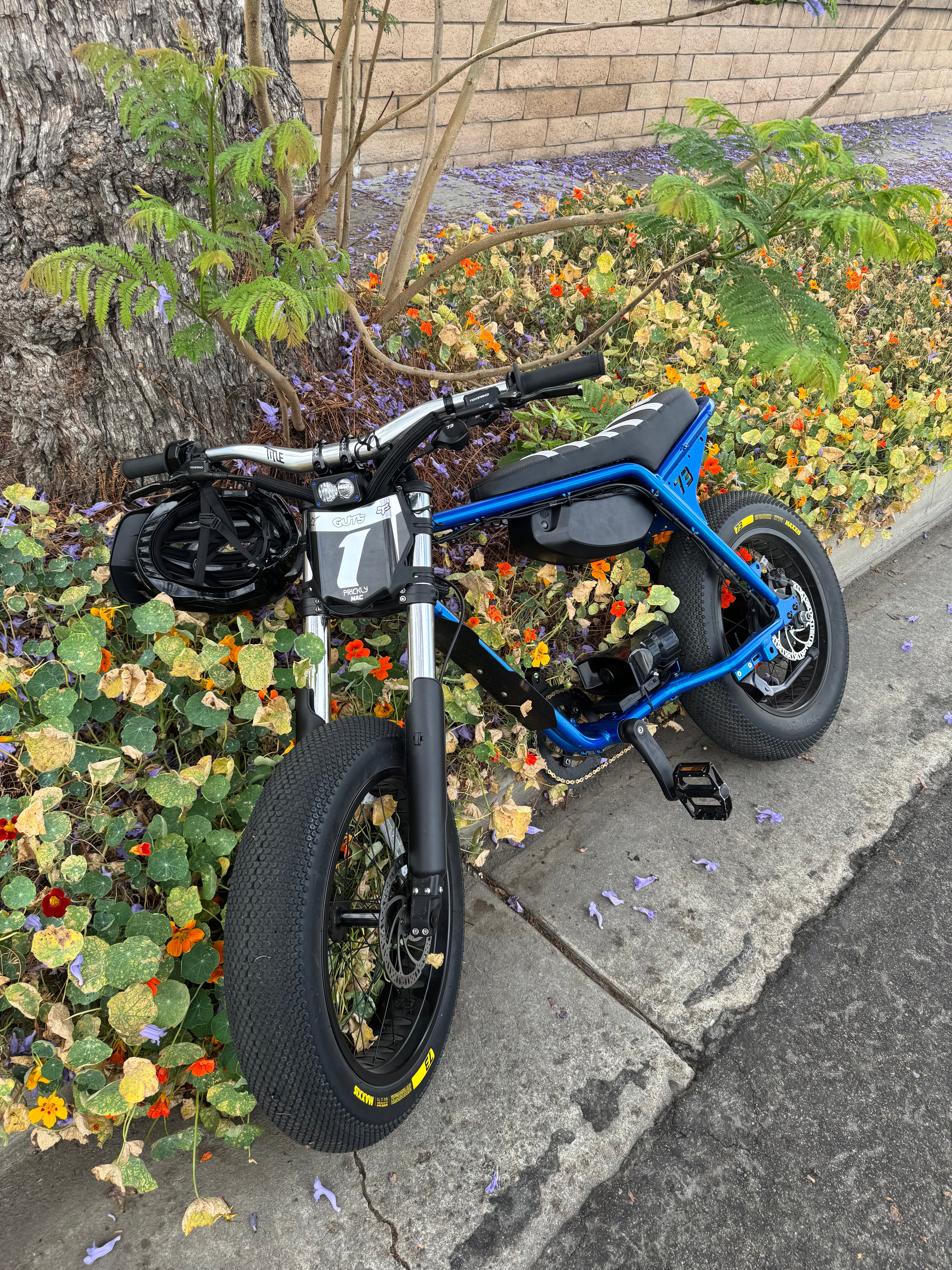 Small blue and black motorcycle parked on a sidewalk next to a tree and flowers.